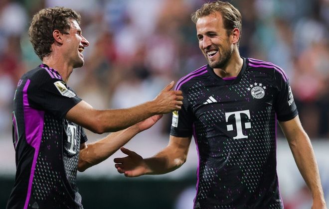 的带领下 的带领下