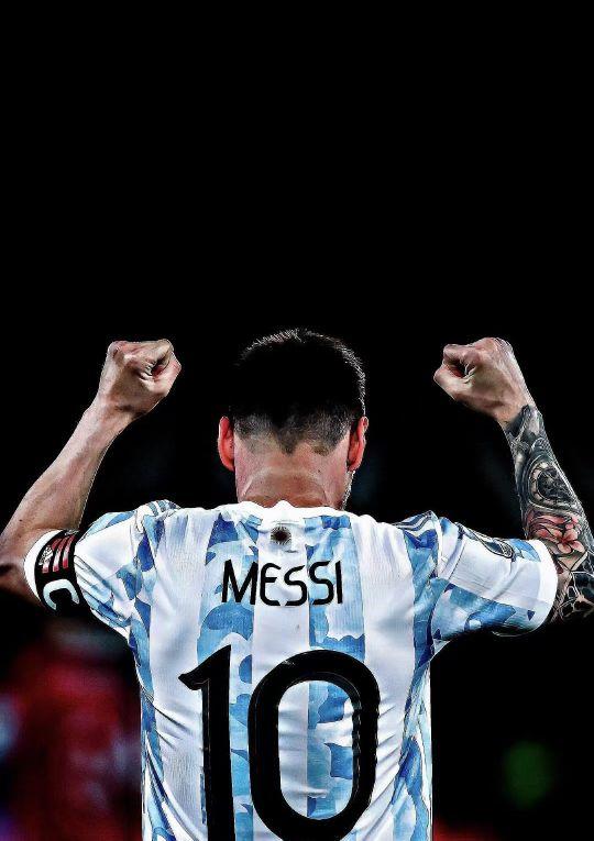 并引入轻量 并引入轻量